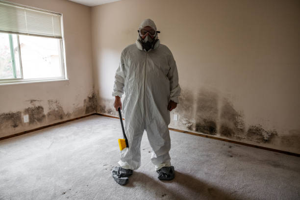 Best Attic Mold Removal  in Milford, DE